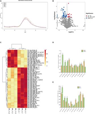 Identification of miRNA in Sheep Intramuscular Fat and the Role of miR-193a-5p in Proliferation and Differentiation of 3T3-L1